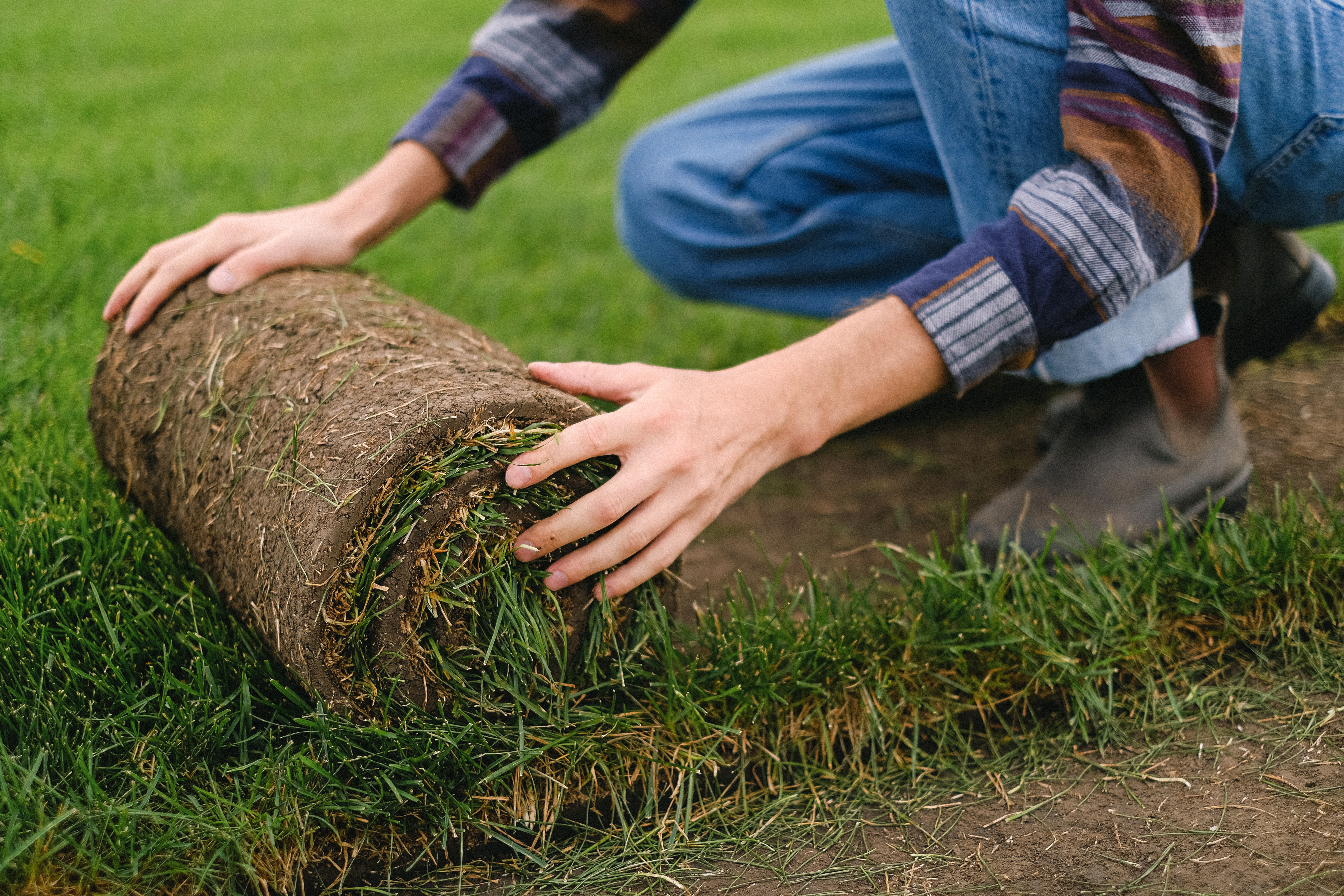 A person installing grass